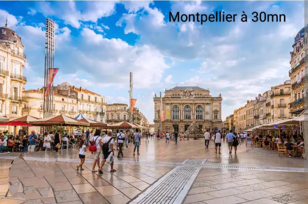 Ferienhaus Maison Neuve Calme Avec Jardin Et Parking 15 Mn De La Grande Motte Et Du Grau Du Roi Acces Pmr *