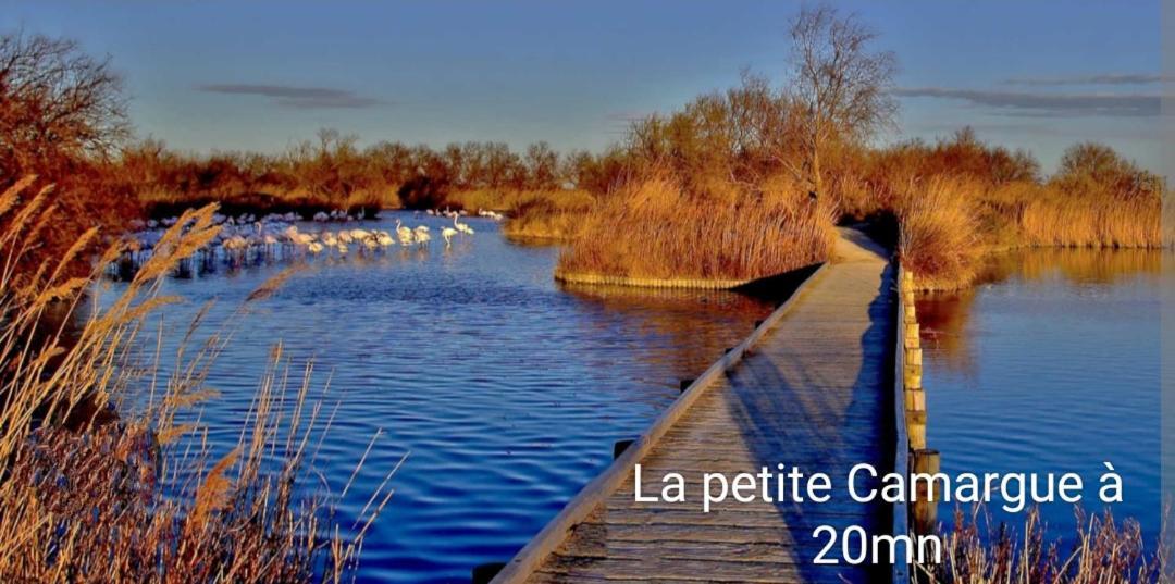 Maison Neuve Calme Avec Jardin Et Parking 15 Mn De La Grande Motte Et Du Grau Du Roi Acces Pmr